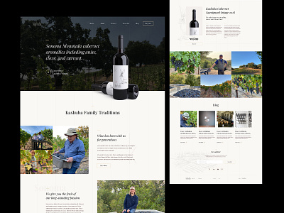 Kashuba Wines WordPress Web Design