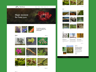 Plant Study WordPress Web Design