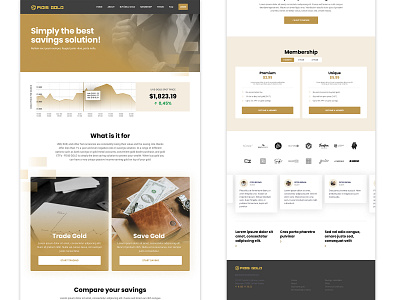 Fidis Gold WordPress Web Design