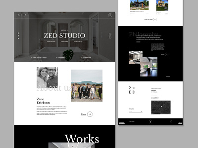 Zed Studio WordPress Web Design app branding design illustration logo minimal typography ui ux vector