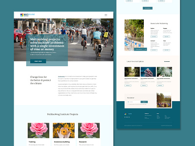 Multisolving Institute WordPress Web Design branding design graphic design illustration logo minimal typography ui ux vector