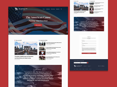 The American Cause WordPress Web Design branding design graphic design illustration logo minimal typography ui ux vector