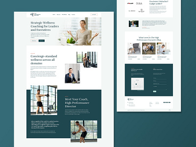 The High Performance Executive WordPress Web Design