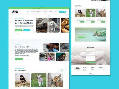 All Species Kinship WordPress Web Design