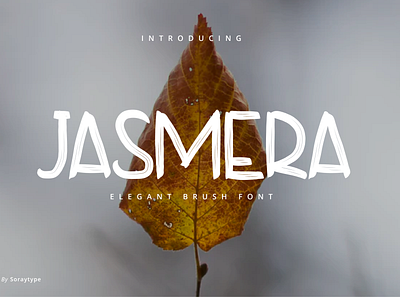 Jasmera - Elegant Brush Font brush font font design handwritten quotes scriptfont type typeface typo