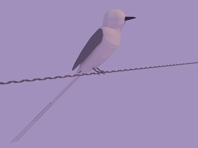 Flycatcher 3d bird blender flycatcher low poly render