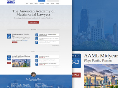 AAML Redesign information architecture legal redesign web design
