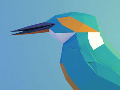 Kingfisher 3d bird blender kingfisher low poly