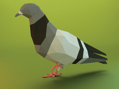 Pigeon 3d bird blender low poly pigeon