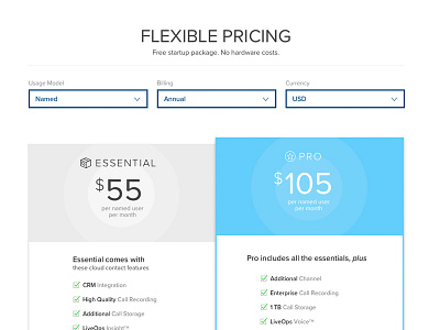 Flexible Pricing clean fresh modern pricing