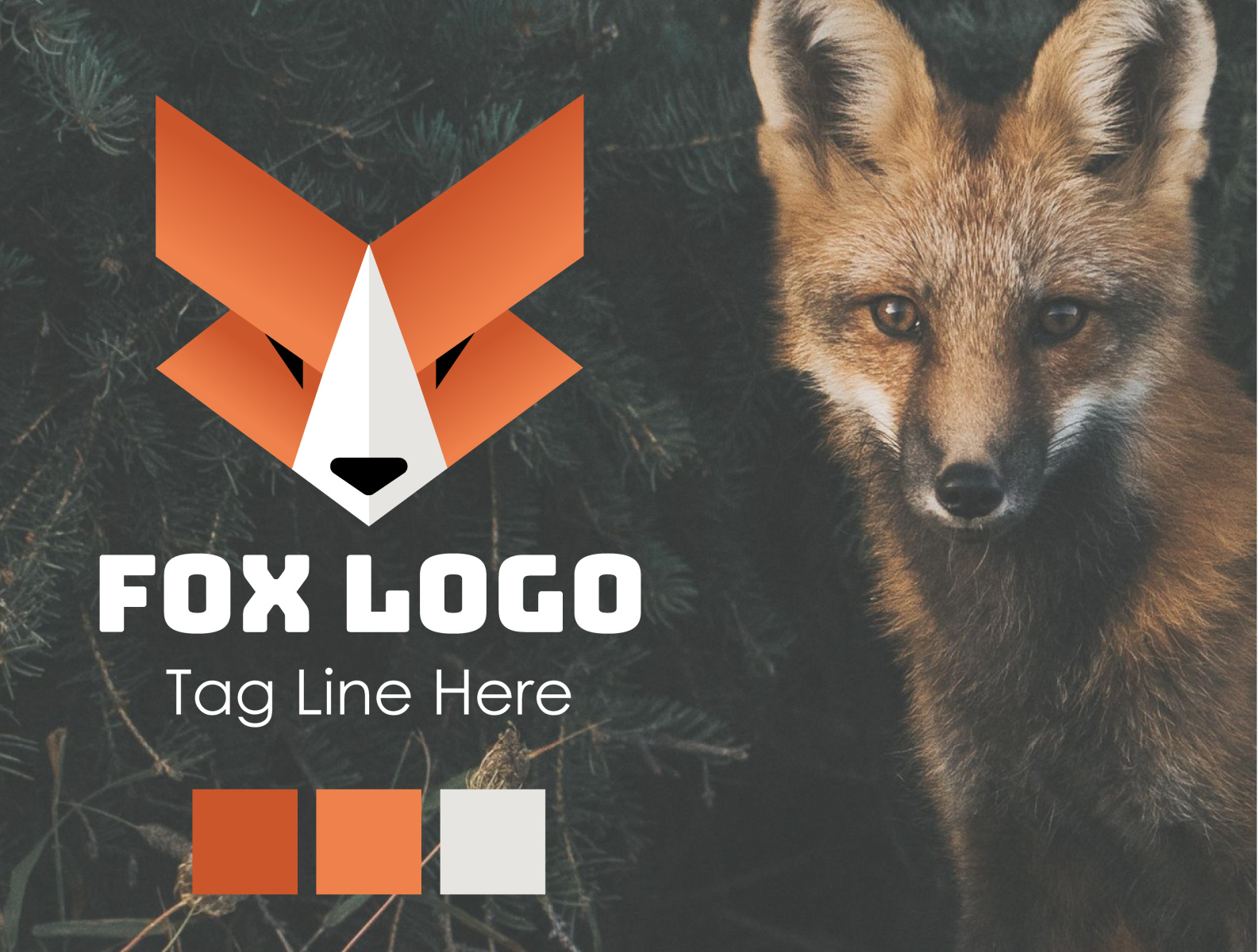 Fox Logo by Md MK Atif on Dribbble
