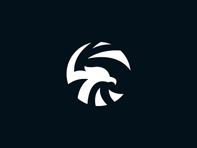 "Hawk" Logo Concept hawk logo
