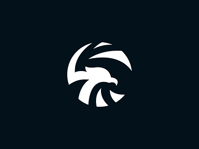 "Hawk" Logo Concept