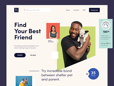 Petz Website adopt animals cat dog interface love pets service startup support ui ux web website