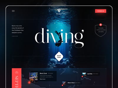 Inwave Diving canyon coral deep diving interface ocean product scuba diving seaside service startup swimming tour travel ui underwater ux wave web website