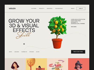 Viduza Website interface product service startup ui ux web website