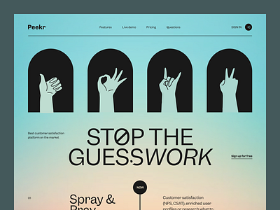 Peekr Website design interface product service startup ui ux website