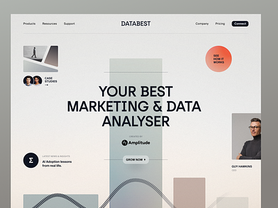 Databest Website design interface product service startup ui ux web website