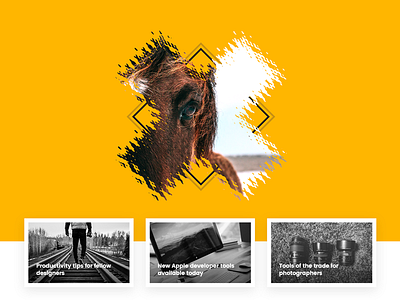 [WIP] Magazine website bw clean horse magazine minimal shadow web website x yellow