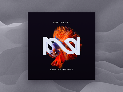 NoruNegru - CONTRAINFIN17 Album Cover album album art cd cover dark fish indie infinity music red rock