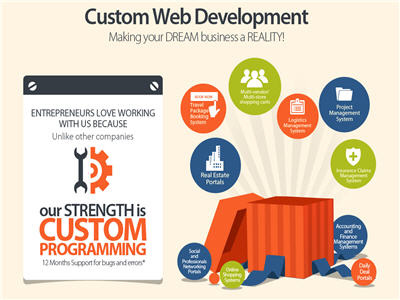 Custom Web Development Service custom development services web