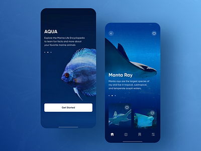 Underwater mobile app aqualife concept creative design figma marinelife minimal mobile application modern ui uidesign underwater ux