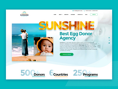 Website for Egg Donor Agency app design ui ux web website