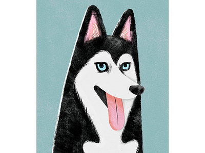 Husky animal illustration dog dog breeds dogs husky illustration ipadproart procreate