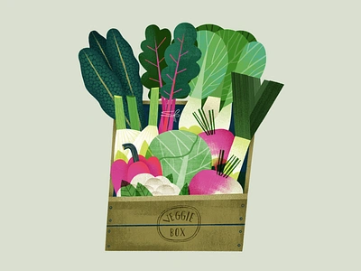 Veggie Box colourful food art food art food illustration food illustrator healthy food illustration illustrated food vegetable illustration veggie box