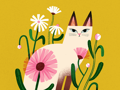 Daisy animal illustration cat cats and flowers colourful illustration summer