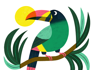 Mountain Toucan animal bird colourful digital art exotic illustration mountain procreate toucan