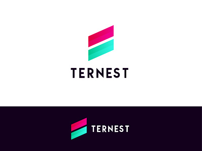 TERNEST- Modern  Logo Design