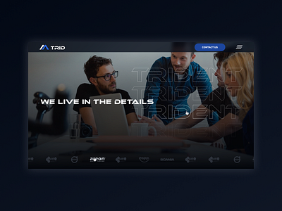 Trid Development design development programmers ui ux web