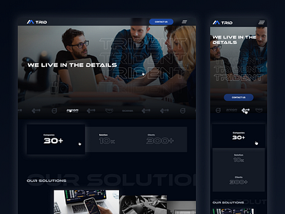 Trid Development adaptive design development mobile programmers ui ux web