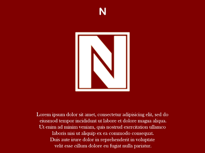 N Logo Concept