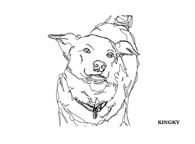 Portrait Lineart of my pet adobe illustrator adobe photoshop art awesome awesomeness branding cool design designer graphicdesign