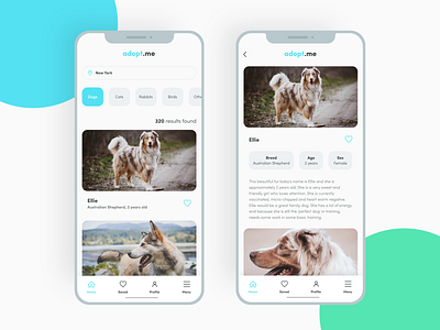 App for pet adoption app design clean design dog figma minimal pet app typography ui