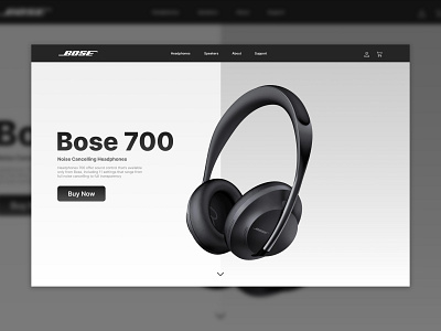 Bose, Web Design (For fun)