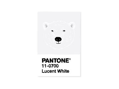 Pantone Polar Bear design designer digital art digital illustration digitalart illustraion illustration illustration art illustrations illustrator motion motion design motion graphic motiongraphics pantone pantone2020 polar bear polarbear wildlie