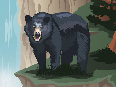 Bear Illustration illustration vector
