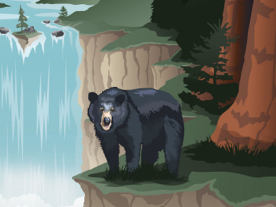 Bear Illustration illustration vector