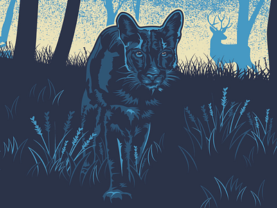 Mountain Lion feline graphicdesign illustration illustrator mountainlion vector