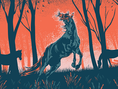 The Horse dusk horse illustration illustrator vector
