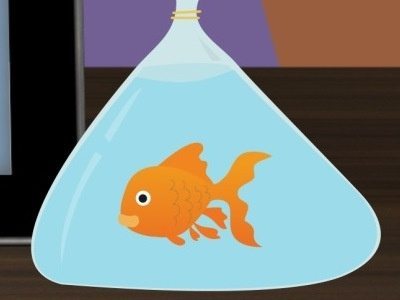 Buying A Goldfish explainer video illustration