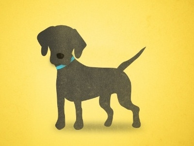 Lemon Family Dog animal dog explainer video illustration