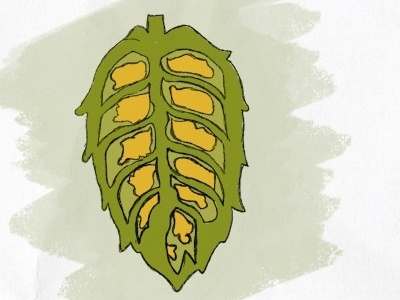 Cross Section Of A Hop Cone beer illustration