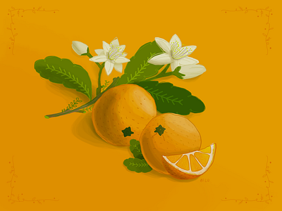 Orange flower green illustration nhami oranges ornaments stylized