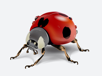 Realictic ladybird in vector animal antenna art background beautiful beauty beetle biology bright bug card cartoon closeup color cute design detail dot drawing realistic