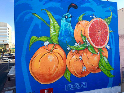 "Juicy" mural in Tucson, AZ acrylic arizona art design mural spray paint street art tucson vector