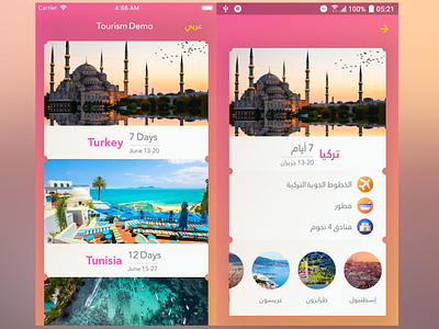 Tourism demo android app arabic demo english flutter ios tourism